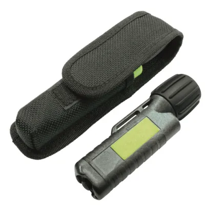 Holster