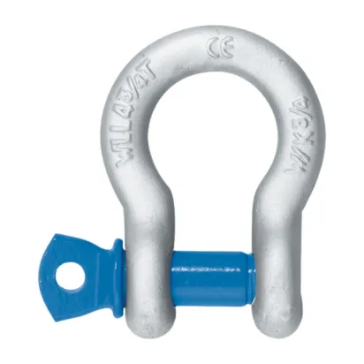 Schäkel, Form A geschweift, Typ W