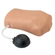 Pneumothorax Simulator