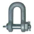 Schäkel, Form C Plus gerade