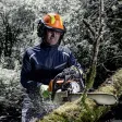 Waldarbeiter-Helm pheos forestry