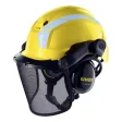 Waldarbeiter-Helm pheos forestry