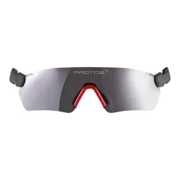 Protos® Integrale veiligheidsbril, grijs
